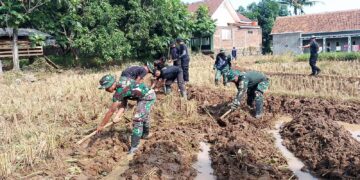 Satgas TMMD Bantu Petani Kelola Sawah