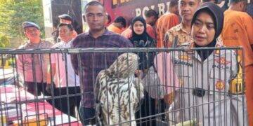 Jual Satwa Liar yang Dilindungi, Remaja Asal Kaliwedi Diamankan Polisi