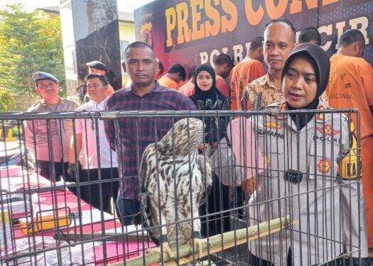 Jual Satwa Liar yang Dilindungi, Remaja Asal Kaliwedi Diamankan Polisi