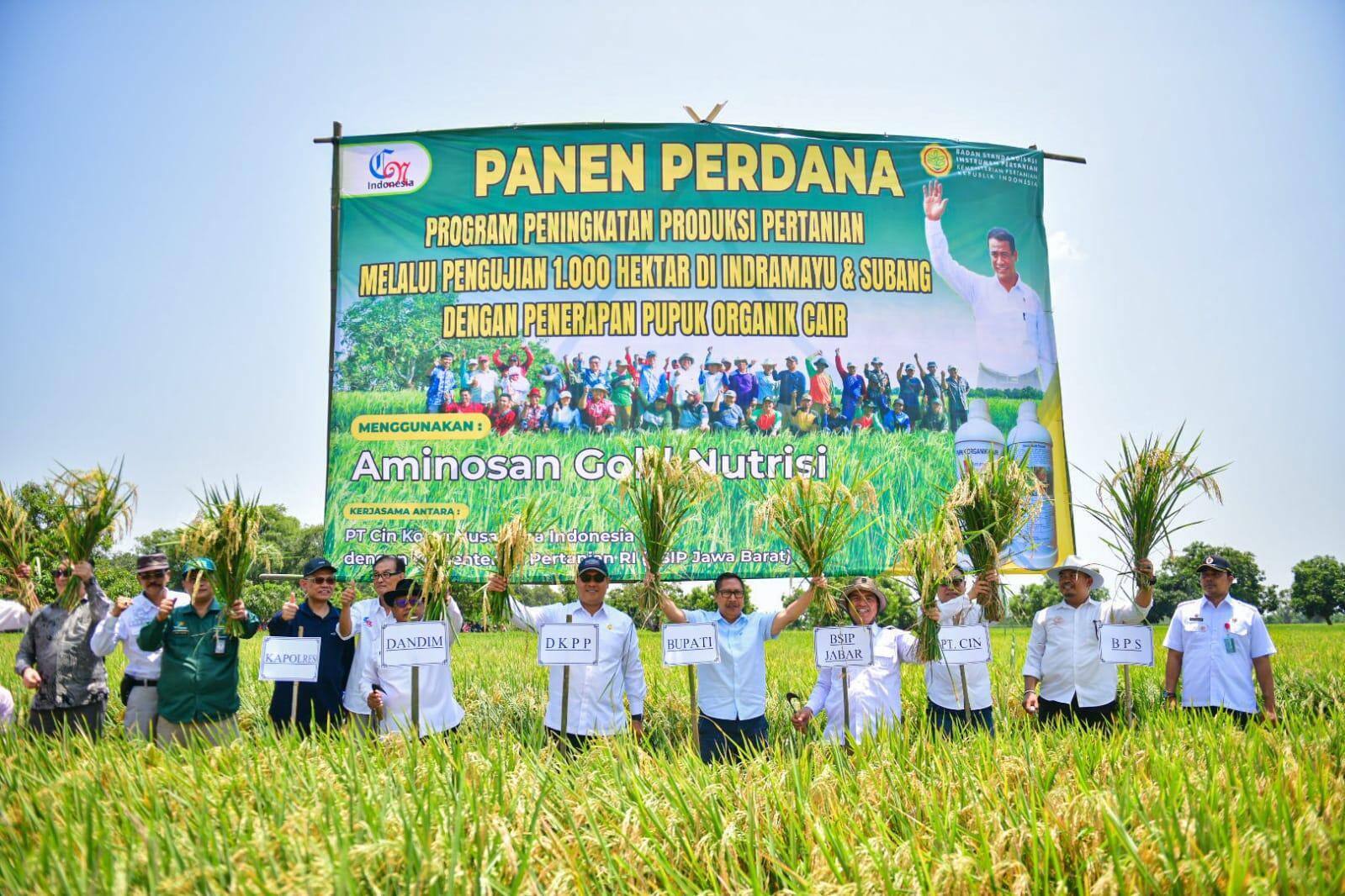 Pjs. Bupati Indramayu Panen Perdana Padi Organik Seluas 1.000 Hektar