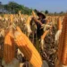 Petani Jagung di Majalengka Kesulitan Peroleh Pupuk Subsidi