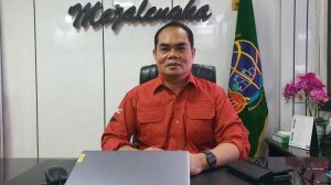 Pelepasan Kawasan Hutan Lindung Jadi Permukiman di Desa Nunuk Baru, Pertama Kali se-Jabar