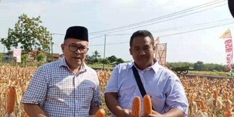 Ayah Kamdan Janji Perjuangkan Nasib Petani dan Peternak