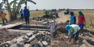 Saluran Irigasi Desa Sumber Kidul Baru Diperbaiki