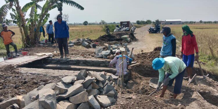 Saluran Irigasi Desa Sumber Kidul Baru Diperbaiki