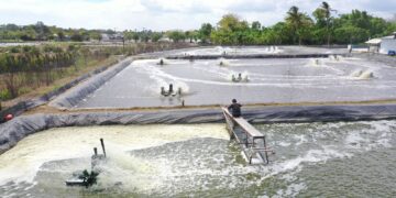 Tarif Listrik Triwulan IV Tidak Naik, PLN Jaga Pelayanan Listrik Tetap Andal