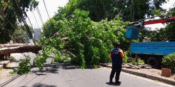 Perangkat Daerah Diinstruksikan Bersiap Hadapi Pancaroba