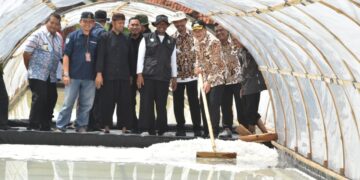 Pj Bupati Cirebon Dorong Inovasi Produksi Garam di Losari