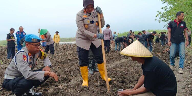 Jaga Ketahanan Pangan, Kapolresta Tanam Benih Jagung di Desa Sumurkondang