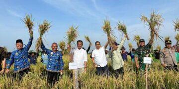 Pj. Gubernur Jabar Dorong Peningkatan Produksi Padi