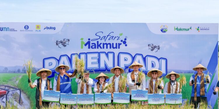 Program Electrifying Agriculture PLN, Mampu Tingkatkan Produktivitas Pertanian Padi di Leuwidingding Cirebon