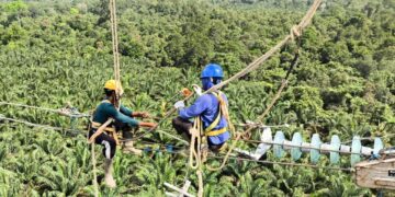 Perkuat Sistem Kelistrikan Kalteng-Kalbar, PLN Tuntaskan Pembangunan SUTT 150 kV Kendawangan-Sukamara