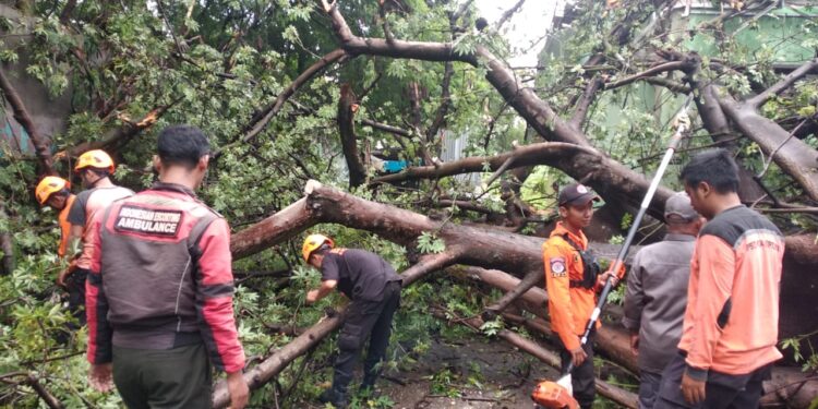 BPBD Kota Cirebon Rilis Data Bencana Tahun 2024