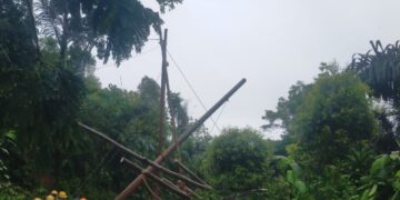 326 Petugas PLN UID Jabar Pulihkan Kelistrikan di Sukabumi dan Cianjur