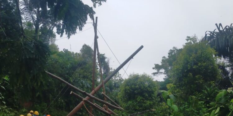 326 Petugas PLN UID Jabar Pulihkan Kelistrikan di Sukabumi dan Cianjur