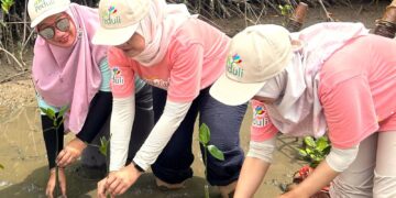 Gandeng WWF Indonesia, PLN Jadi Perusahaan Pertama di Tanah Air Adopsi Kerangka Kerja TNFD