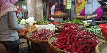 Jelang Nataru, Harga Komoditas Sayuran di Indramayu Merangkak Naik