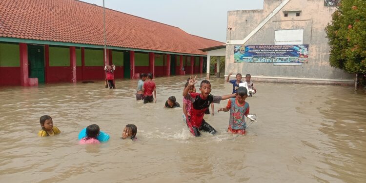 Banjir di Kabupaten Cirebon Rendam 100 Hektar Sawah dan Sekolah