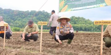 Polres Kuningan Tanam Jagung Serentak 1 Juta Hektar