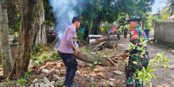 Pohon Petai Tumbang di Desa Cikeleng, Babinsa Bareng Bhabinkamtibmas dan Warga Gotong Royong Evakuasi