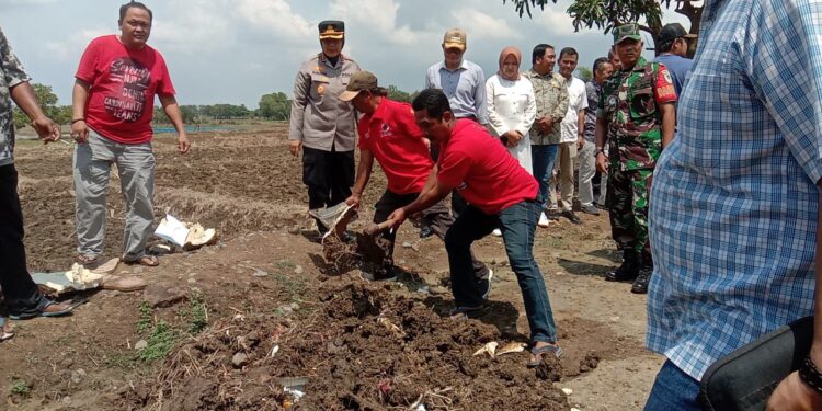 Kemunculan Kuburan dan Pohon Pisang di Jalan Rusak Desa Luwung Kencana Akhirnya Dibongkar