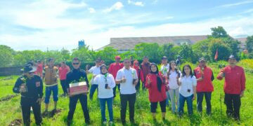 DPC PDIP Bareng TMP Kuningan Tanam Ratusan Pohon, Peringati Ultah Ketua Umum Megawati Soekarnoputri