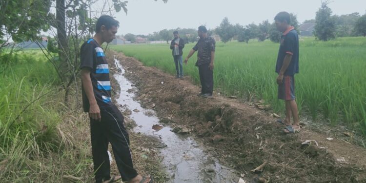 DLH Akui Belum Ada yang Ajukan Perizinan Limbah dari Rumah Produksi Bebek