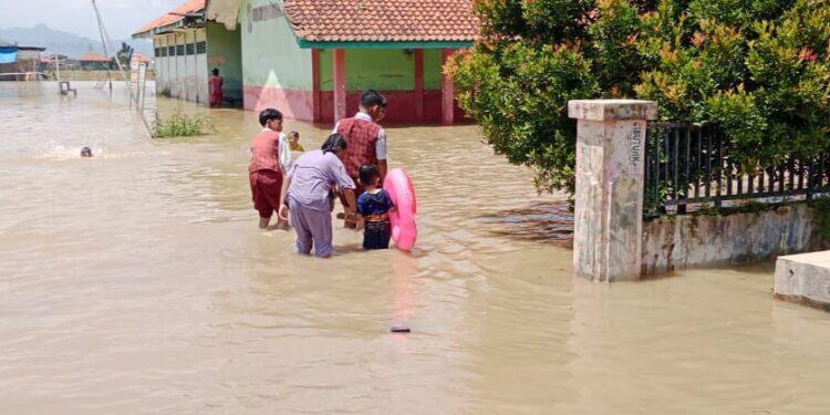 Wilayah Gegesik Kembali Terendam Banjir, 100 Hektar Lebih Sawah Terancam Gagal Tanam