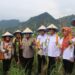 Polresta Cirebon dan Pemkab Cirebon Panen Raya Jagung di Desa Kedongdong Kidul