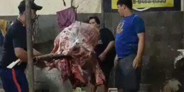 Harga Daging Sapi Terus Mengalami Kenaikan Jelang Lebaran