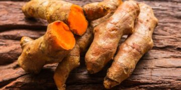 Manfaat Kunyit untuk Asam Lambung