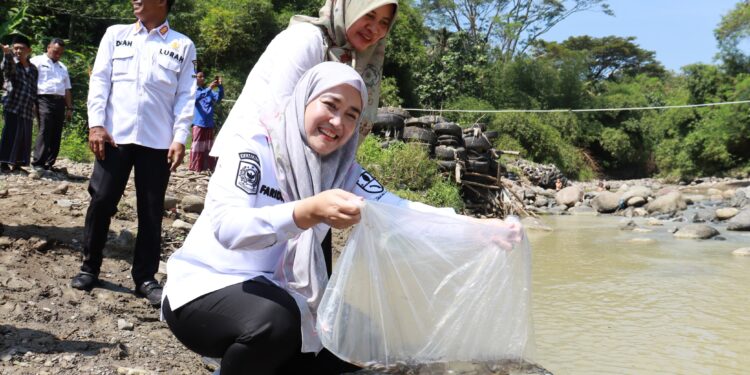 Kota Cirebon Terima Bantuan 85 Ribu Benih Ikan, Dorong Ketahanan Pangan dan Ekowisata Perairan