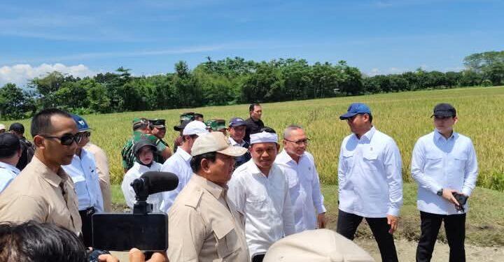 Dengar Keluhan Petani Terkait Hama Tikus Mengganas, Prabowo Perintahkan Mentan Beli 1.000 Burung Hantu