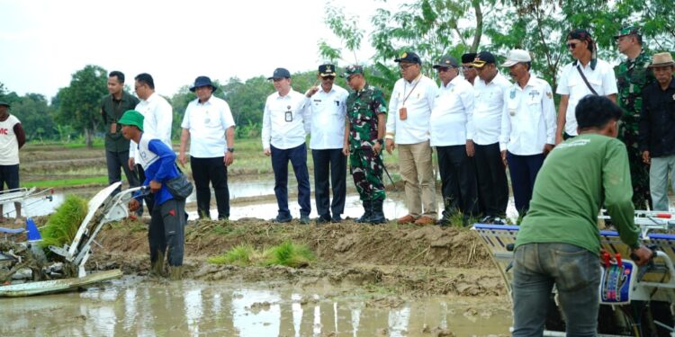 Wabup Syaefudin Lakukan Percepatan Tanam di Lahan 11 Ribu Hektar