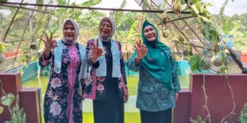 Sedong Akan Dijadikan Sentra Tanaman Lavender di Kabupaten Cirebon