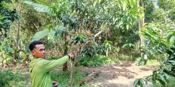 Geger, Warga Muara-Wanasalam Hilang 20 Jam Digondol Wewe Gombel