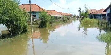Tanggul Cisanggarung Jebol, Ratusan Rumah di Tawangsari Terendam