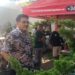 Bonsai Berharga Ratusan Juta Dipamerkan di Balaikota Cirebon