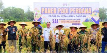Lapas Cirebon Panen Perdana Padi Warga Binaan