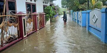 BMKG Peringatkan Warga Agar Waspada Terjadinya Banjir Rob di Pesisir Utara