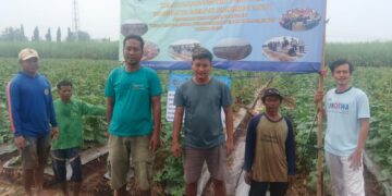 Buah Melon Akan Dijadikan Ikon Desa Ciawijapura