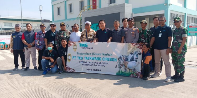 Salurkan Hewan Kurban, Taekwang Cirebon Pererat Hubungan dengan Lingkungan