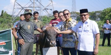Berbagi Kebaikan, Cirebon Power Salurkan 56 Hewan Kurban