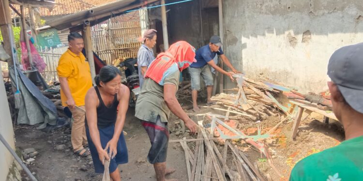 Warga Desa Melaksari Masih Mencari Tikus Botak hingga Siapkan Jebakan Racun 