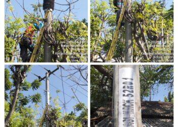 Tingkatkan Kehandalan, PLN ULP Cirebon Kota Pasang Penyelamat Binatang pada Jaringan Menengah 20 KV
