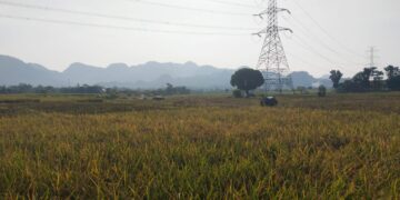 BKAD: Target Retribusi Penyewaan Tanah Tahun 2025 Sebesar Rp1,163 Miliar