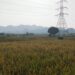 BKAD: Target Retribusi Penyewaan Tanah Tahun 2025 Sebesar Rp1,163 Miliar