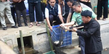 Panen Perdana Pasukan Paus, dari 7500 Benih Ikan Jadi 2 kwintal