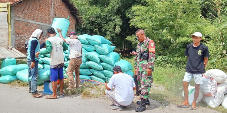 Hasil Panen Turun, Harga Beras di Majalengka Naik Terus