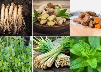 7 Tanaman Herbal Dipercaya Mampu Menyembuhkan Radang Tenggorokan